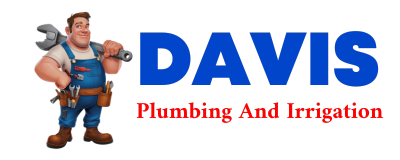 Trusted plumber in LAURYS STATION